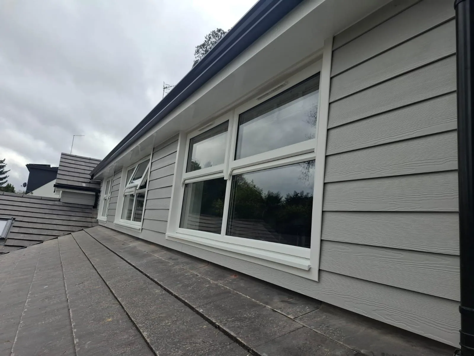 Run of white windows set in grey cladding above a tiled roof, with black guttering